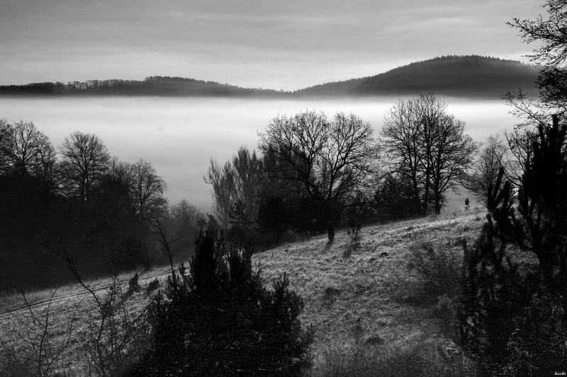 CRW_0916.jpg