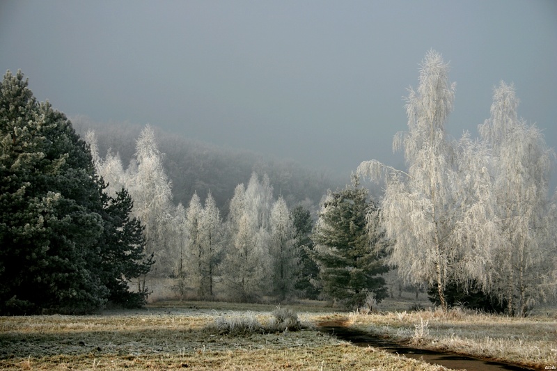CRW_1499.jpg