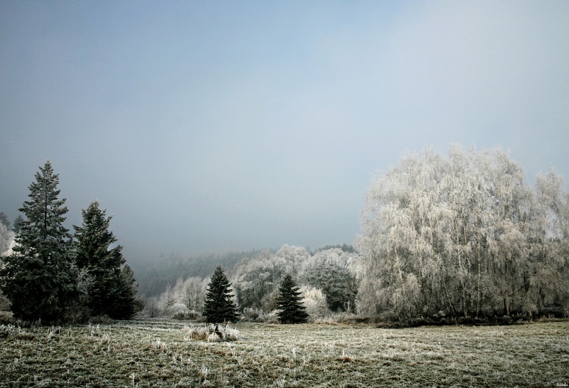 CRW_1504.jpg