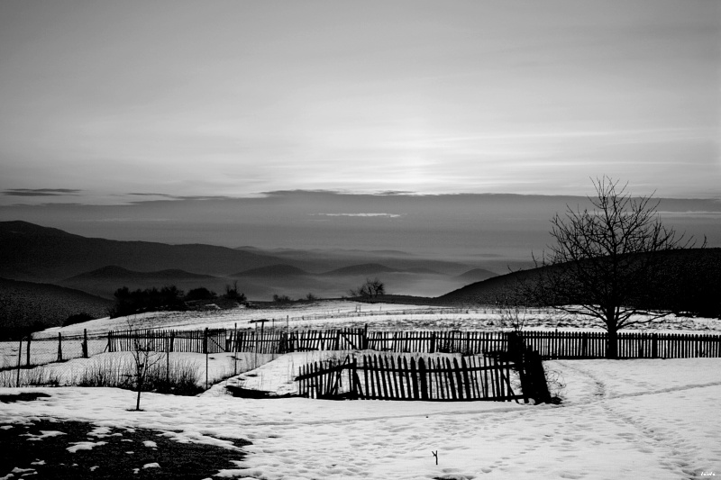 CRW_3183.jpg