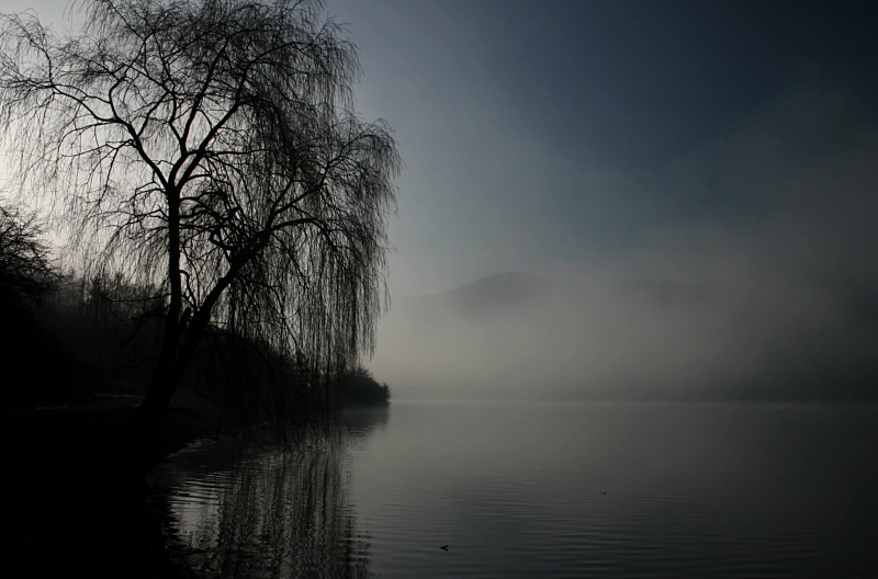 CRW_4622.jpg