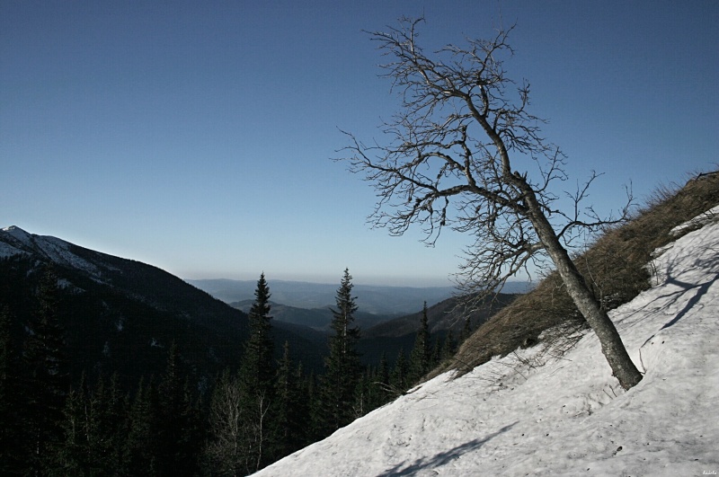 CRW_6183.jpg