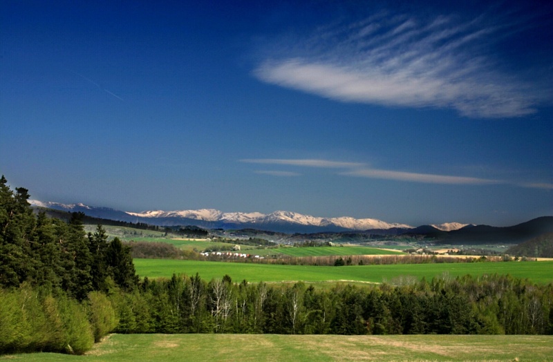 CRW_6298.jpg