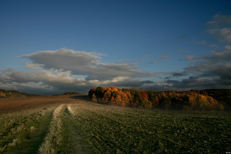CRW_9075.jpg