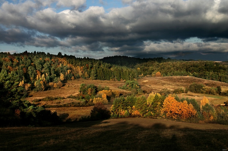 CRW_9094.jpg