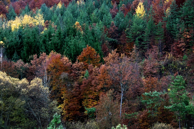 CRW_9122.jpg