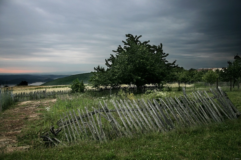 CRW_9214.jpg