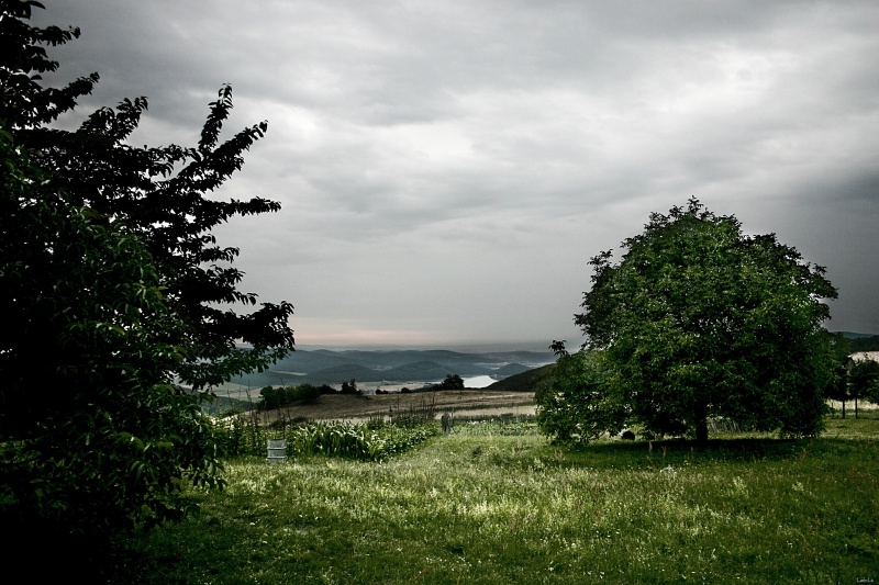 CRW_9270.jpg
