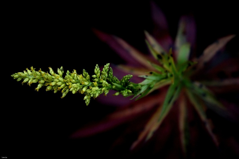 CRW_0128.jpg