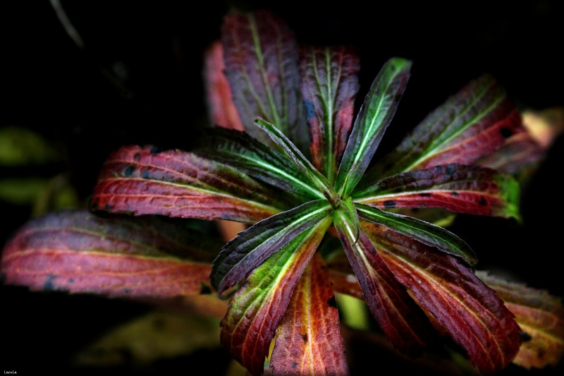 CRW_0130.jpg