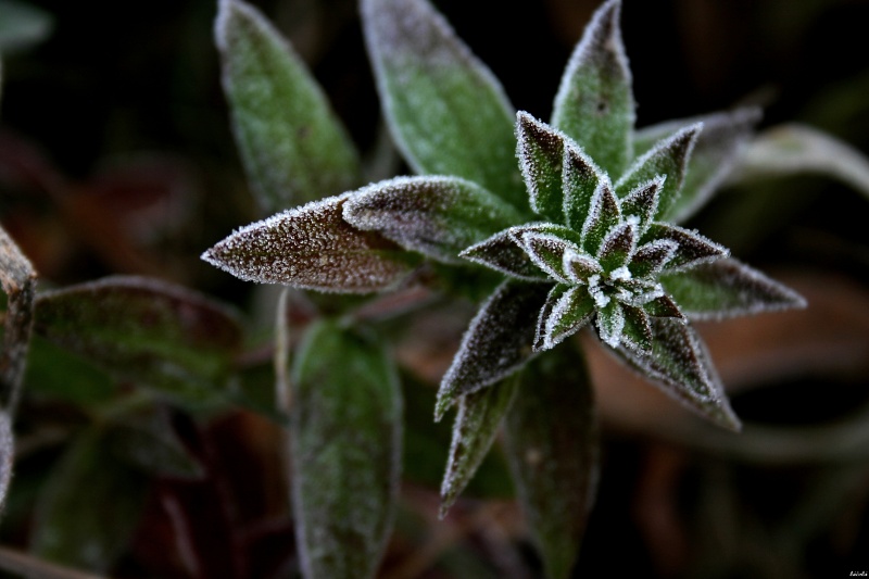 CRW_9005.jpg