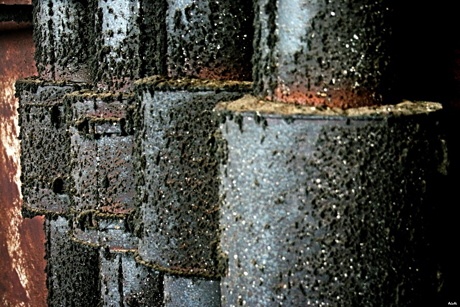 CRW_3273.jpg