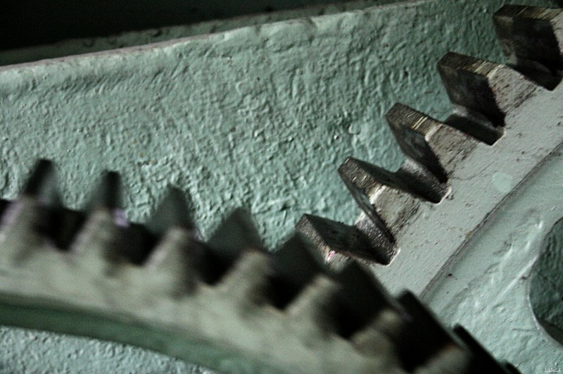CRW_4638.jpg