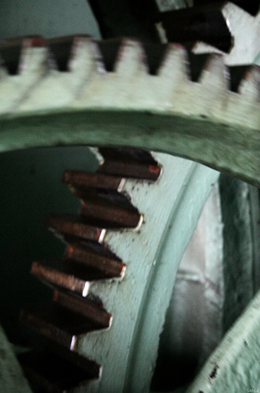 CRW_4640.jpg