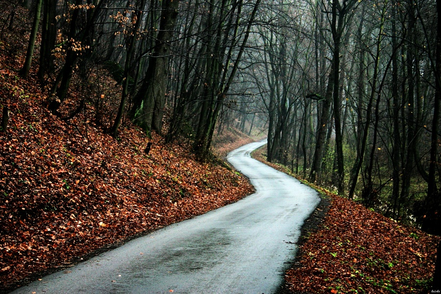 CRW_0045.jpg