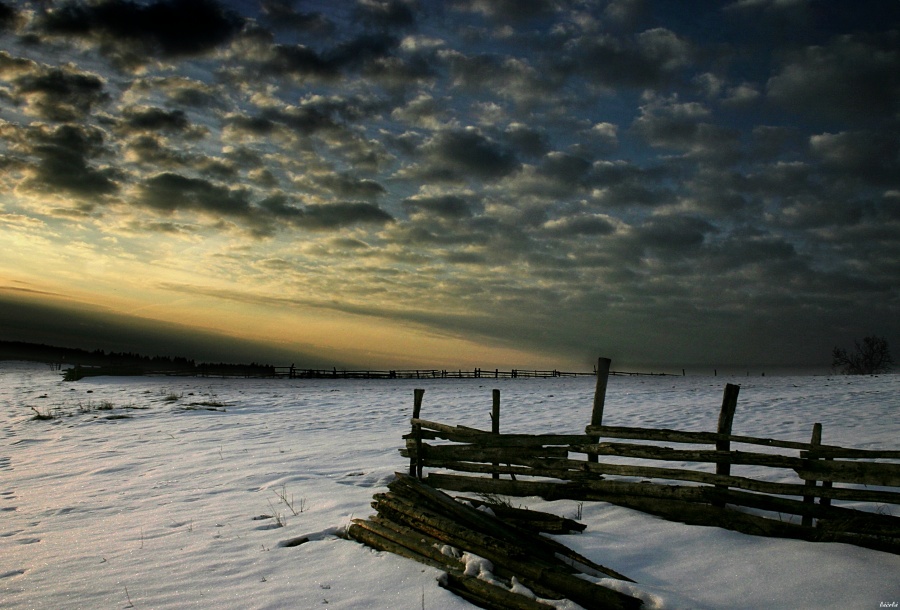 CRW_3223.jpg