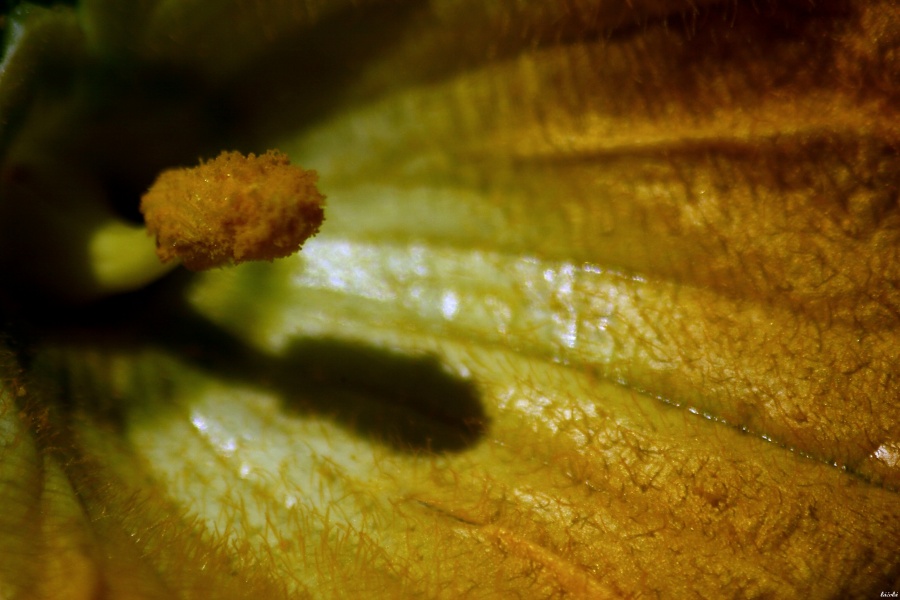 CRW_0053.jpg