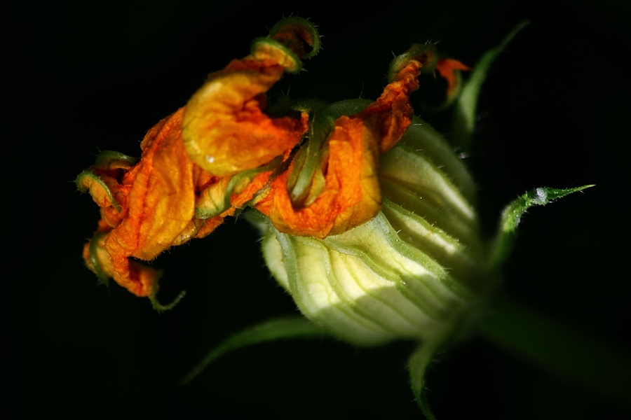 CRW_0061.jpg