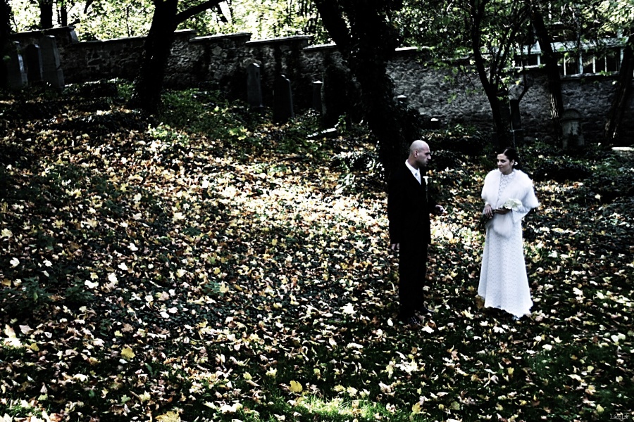 CRW_5536.jpg