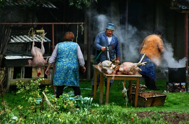 CRW_0068.jpg