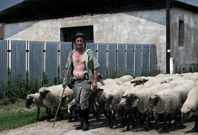 CRW_7921.jpg